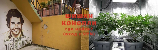 сатива Балабаново
