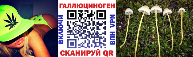 Псилоцибиновые грибы Magic Shrooms  Балей 